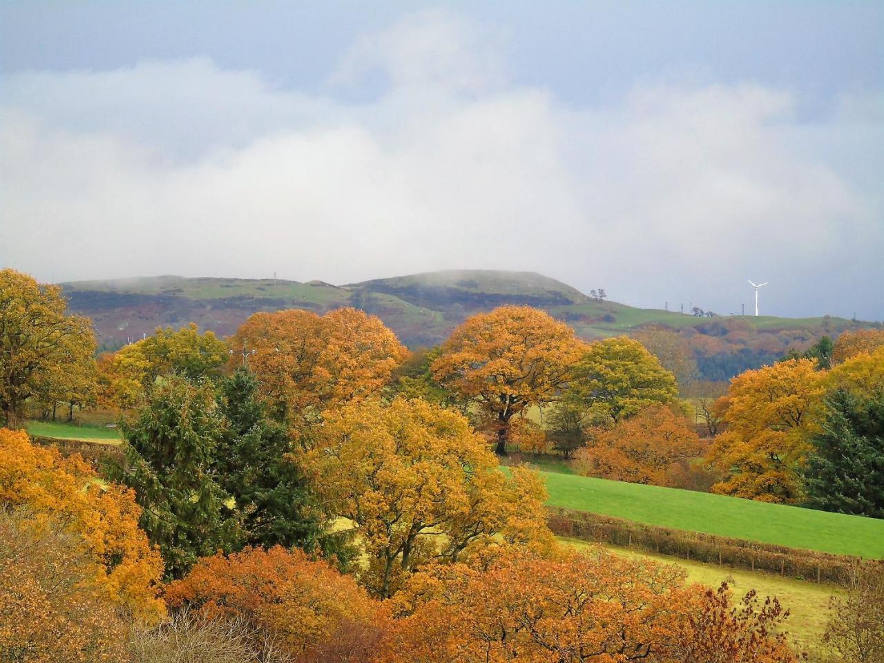 Pwllgwilym B & B Builth Wells Esterno foto